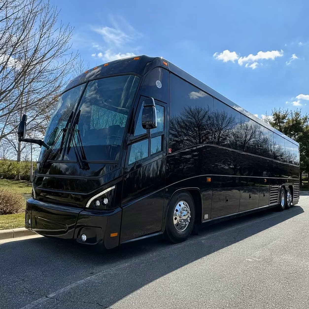 statesboro day trips from statesboro to congaree national park